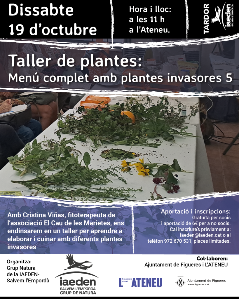 Taller de plantes: menú complet amb plantes invasores núm. 5